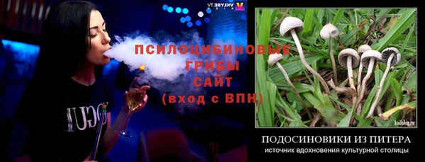 мдпв Горняк