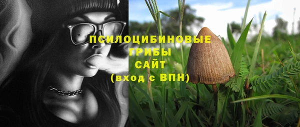 мдпв Горно-Алтайск