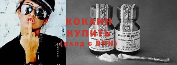 круглые Гусев