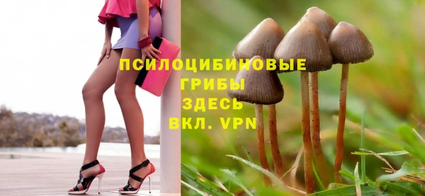 мдпв Горняк