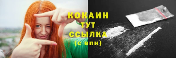 мдпв Горно-Алтайск