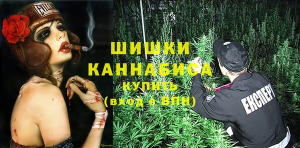 мдпв Горняк