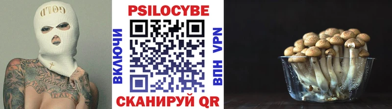 Псилоцибиновые грибы мухоморы  OMG ссылки  Емва 