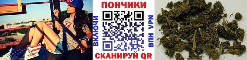 цены наркотик  Емва  Бошки Шишки Bruce Banner 